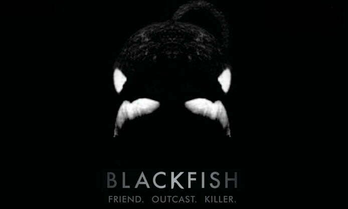 Blackfish-poster