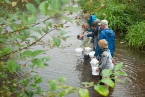 Mark Angelo, BCIT president Kathy Kinloch, and Lieutenant Governor Judy Guichon along with local cubscouts, release trout into Guichon Creek.