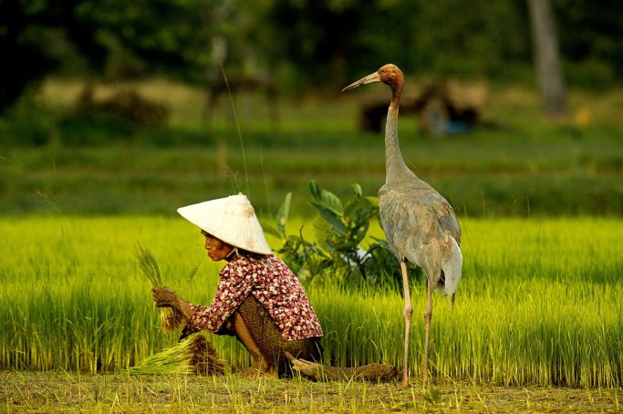 Still—AngkorAwakens