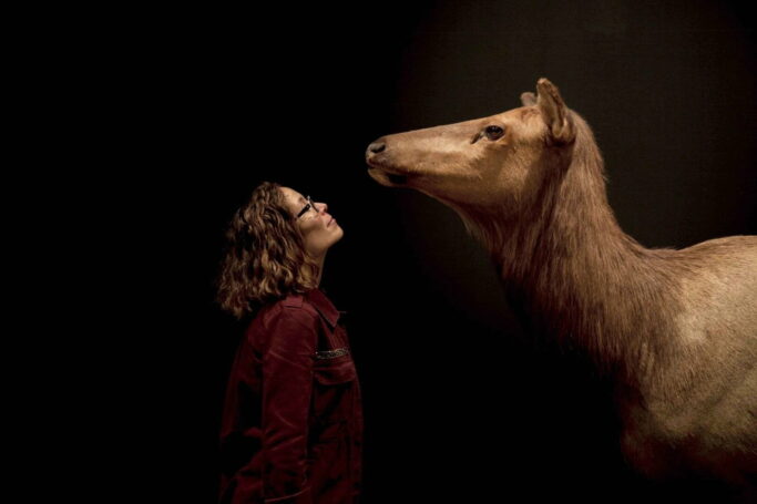 MoV Wild Things Promo_5