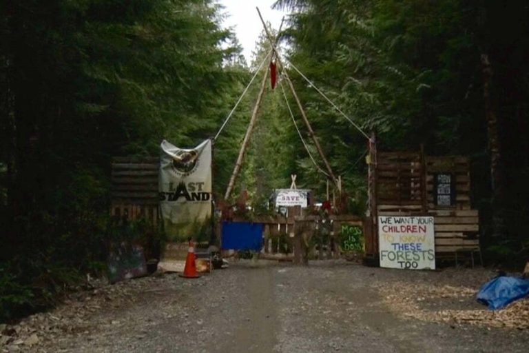 Protestors blocking a forest road