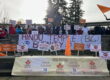 people protesting with signs