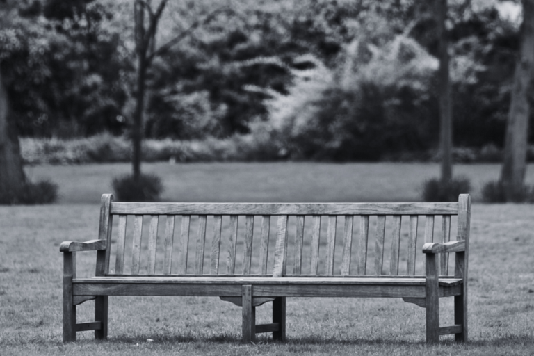 bench in a field